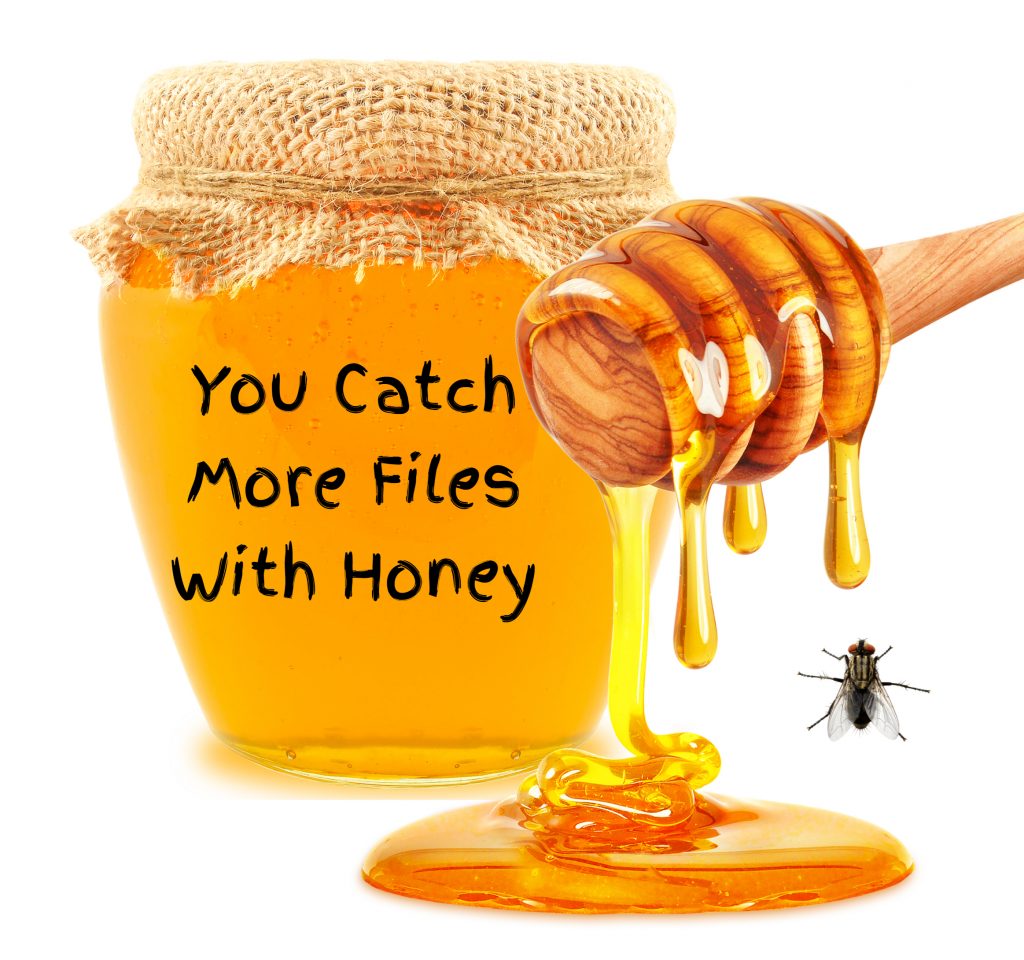 How to catch flies with clearance honey